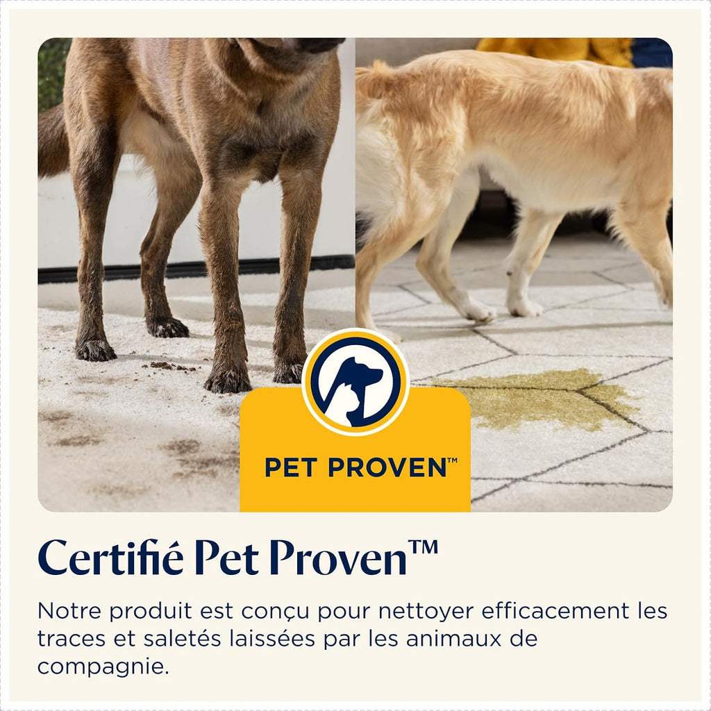 BISSELL SpotClean Pet Pro Shampouineuse Canapé 750W
